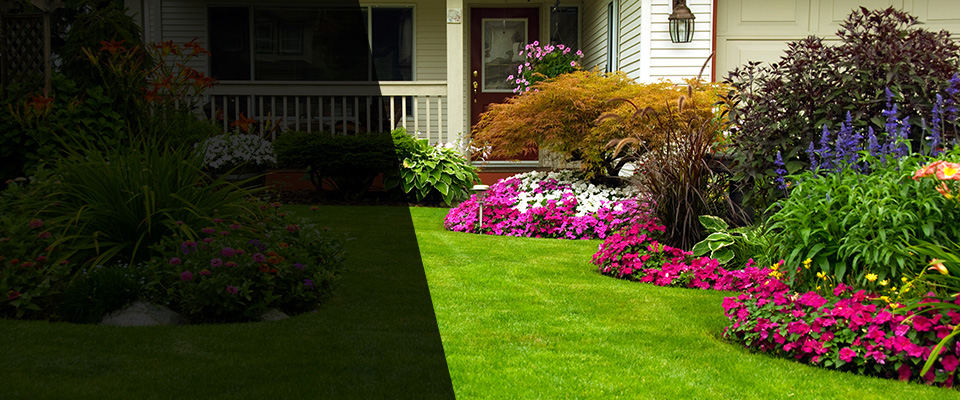 Parsons Landscapers