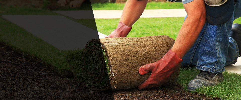 Parsons Landscapers